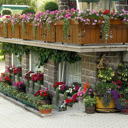 Albergo Trentino Moena Exterior foto