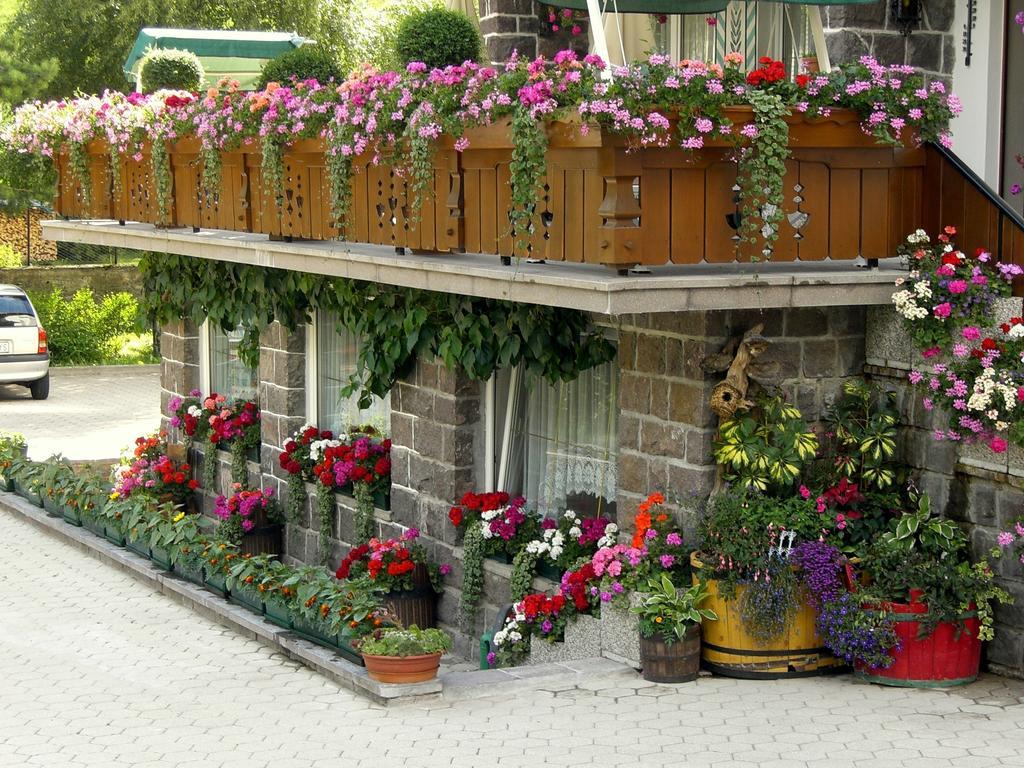Albergo Trentino Moena Exterior foto